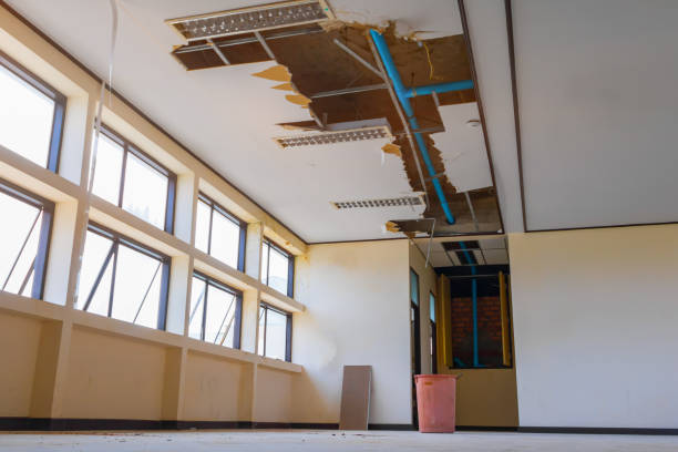 Best Emergency water damage restoration  in Camano, WA