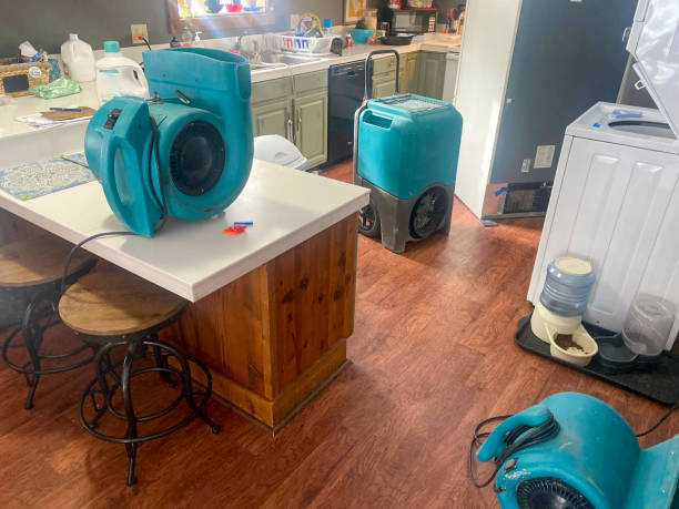 Best Water damage restoration experts  in Camano, WA