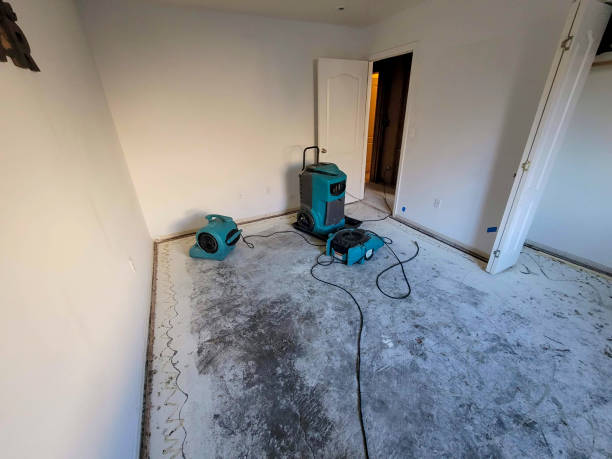 Water damage restoration experts in WA