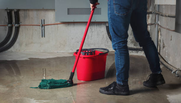 Best Basement water damage restoration  in Camano, WA
