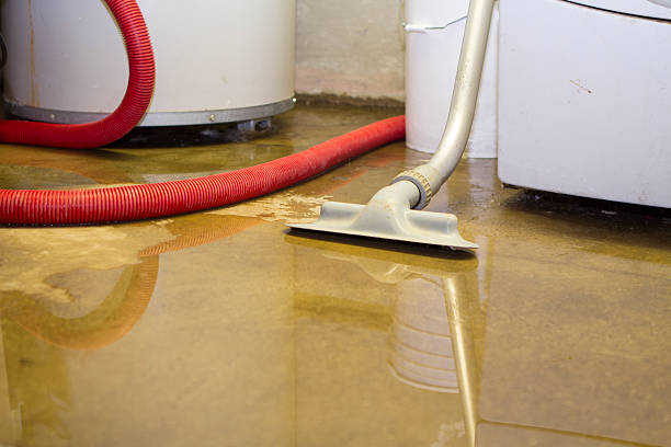 Best Water damage restoration near me  in Camano, WA