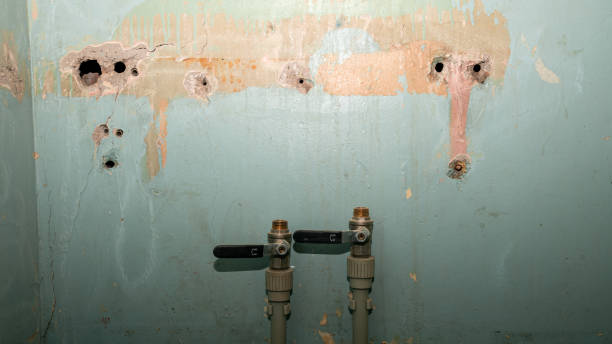 Best 24/7 water damage repair  in Camano, WA