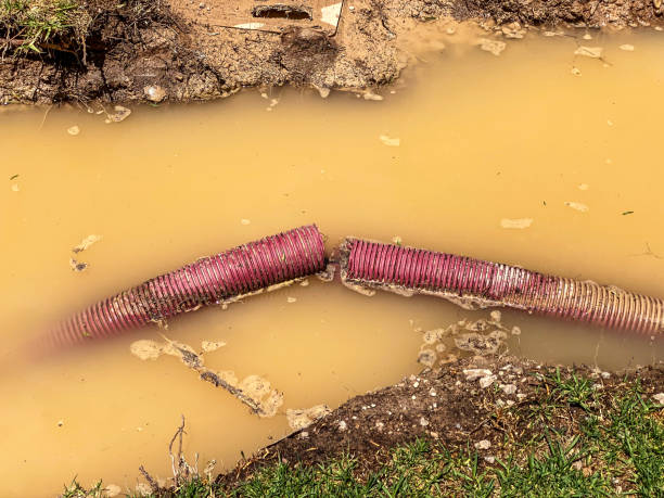 Professional Water damage restoration in WA