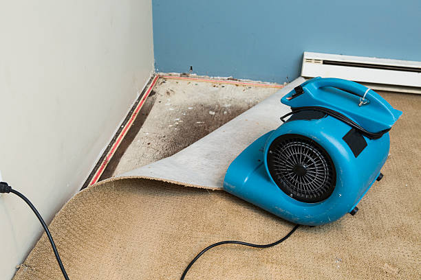 Best Flood restoration services  in Camano, WA