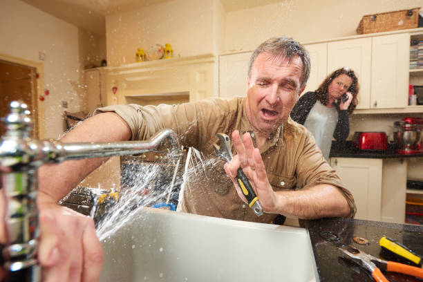 Best Water damage cleanup near me  in Camano, WA